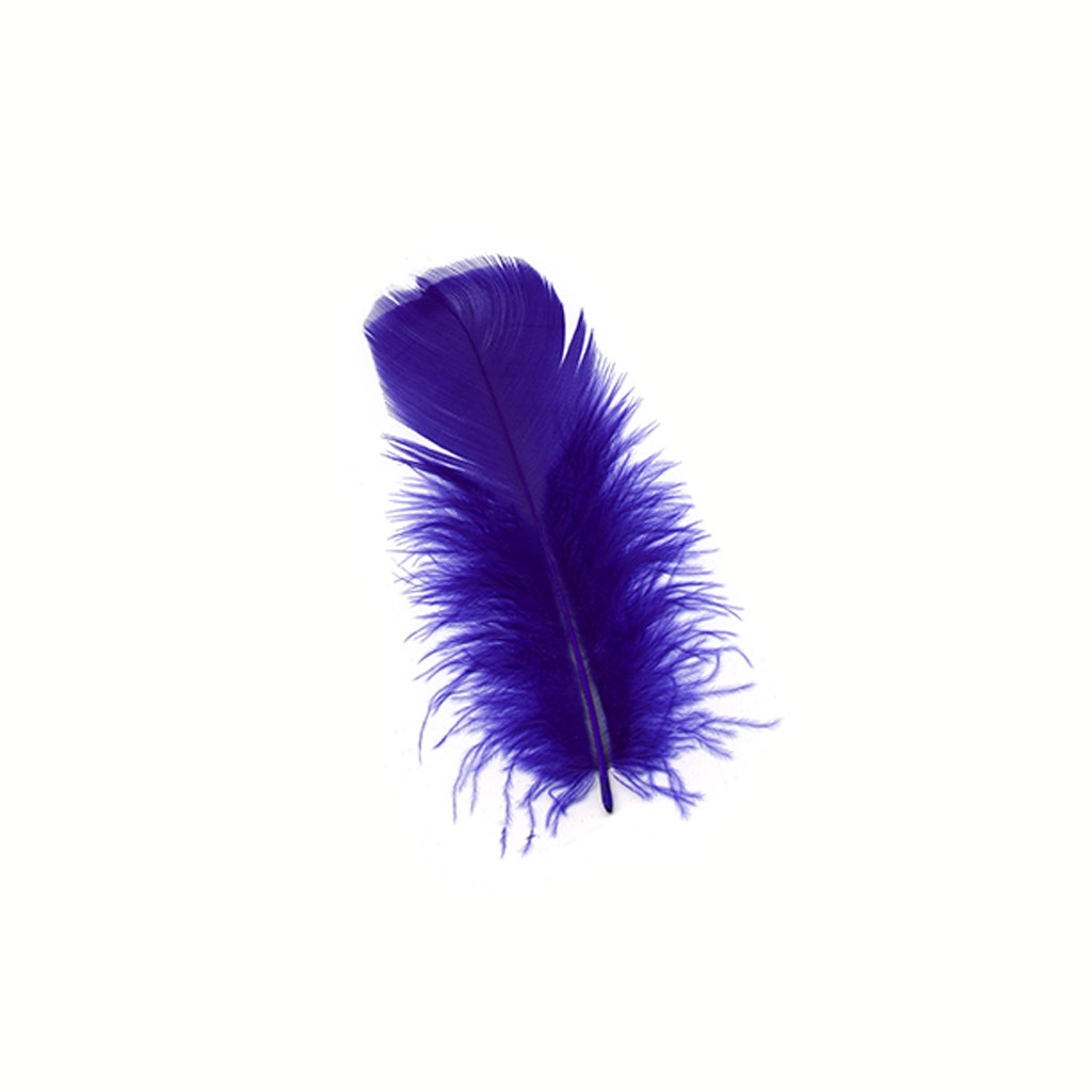 Loose Turkey Plumage Feathers - 1/4 lb - Regal