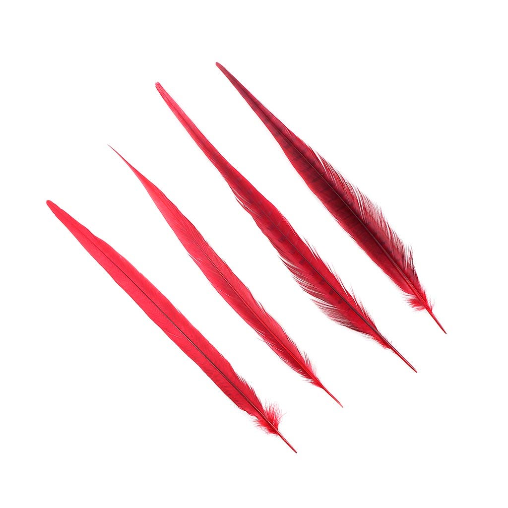 Assorted Pheasant Tails Dyed - Red