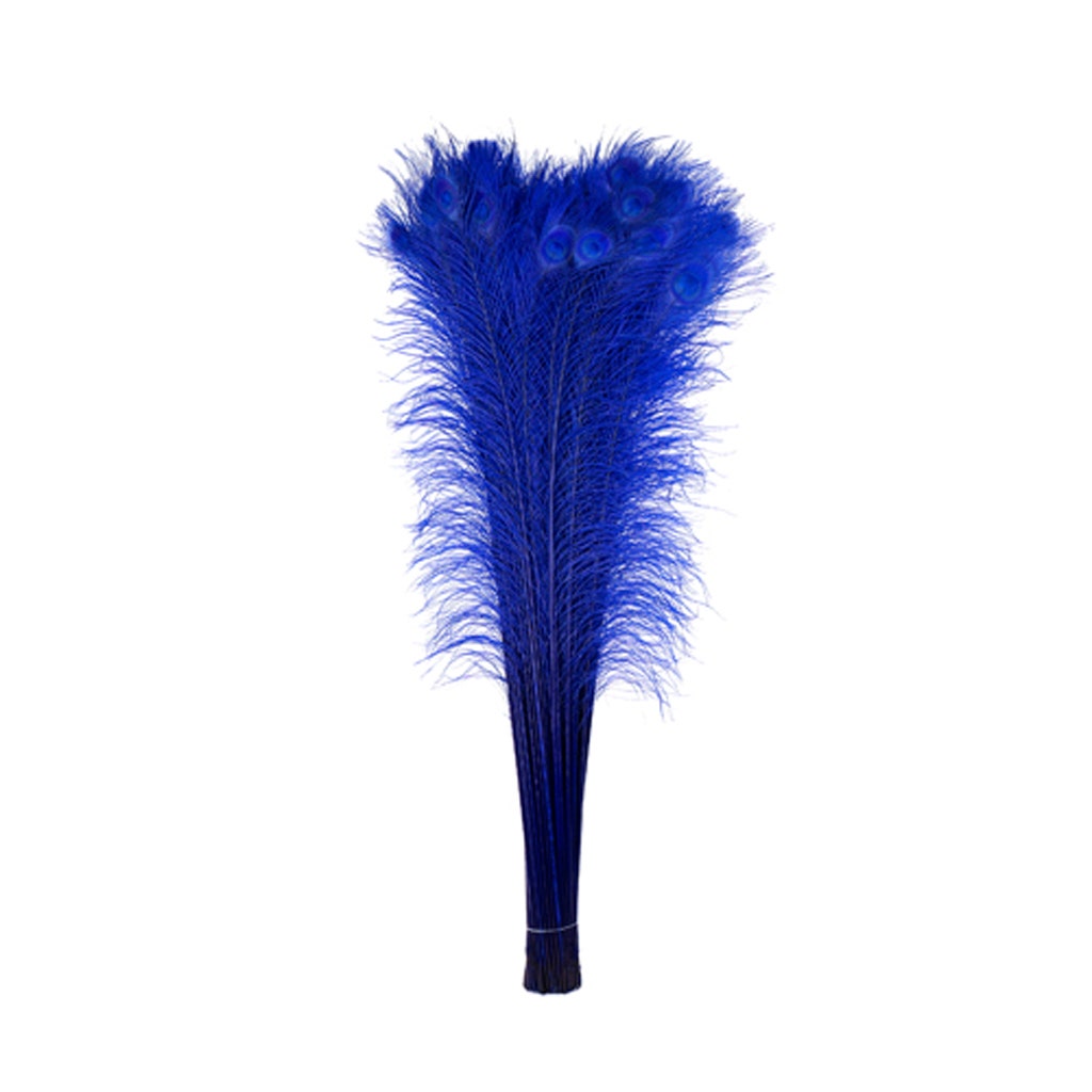 Peacock Tail Eyes Bleached Dyed - Royal