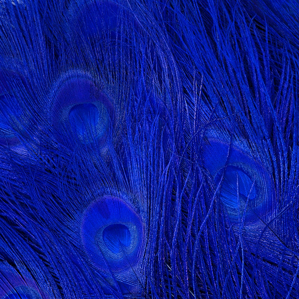 Peacock Eyes Bleached/Dyed - Royal