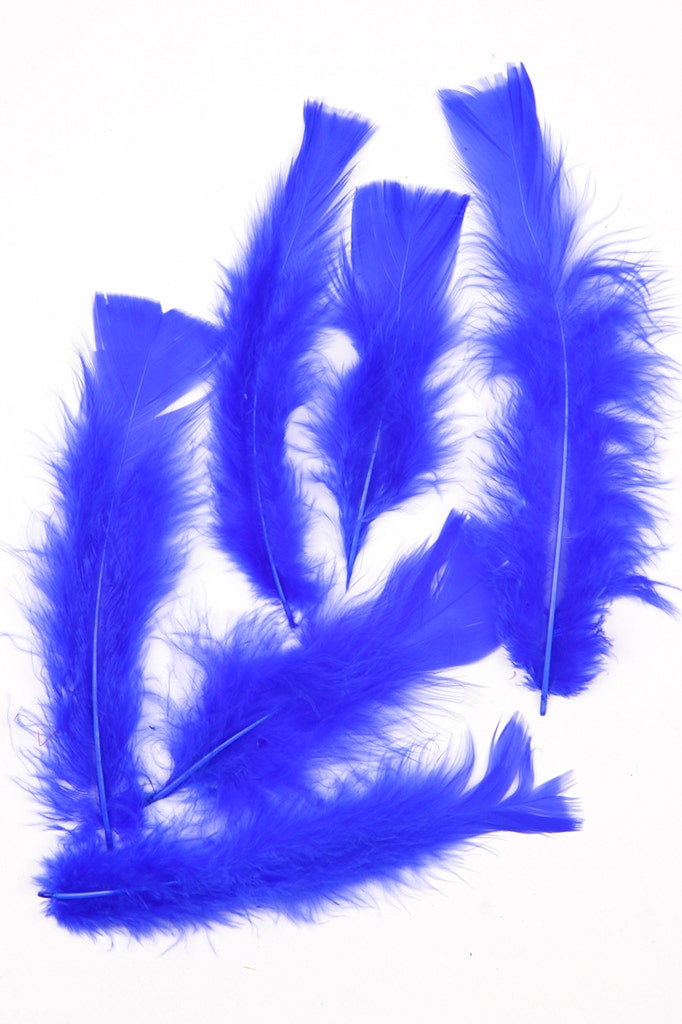 Loose Turkey Flats Dyed - Royal