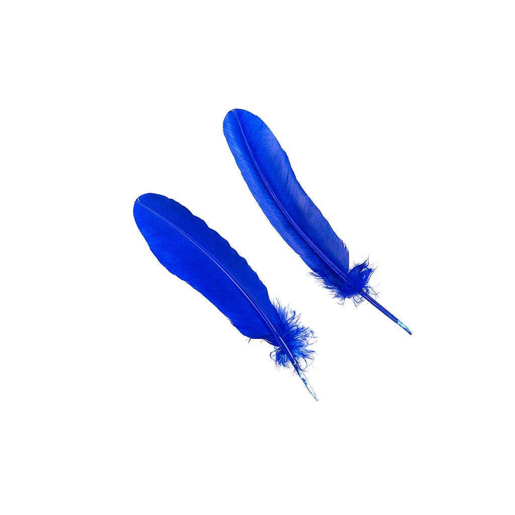 Turkey Quills Dyed - Royal