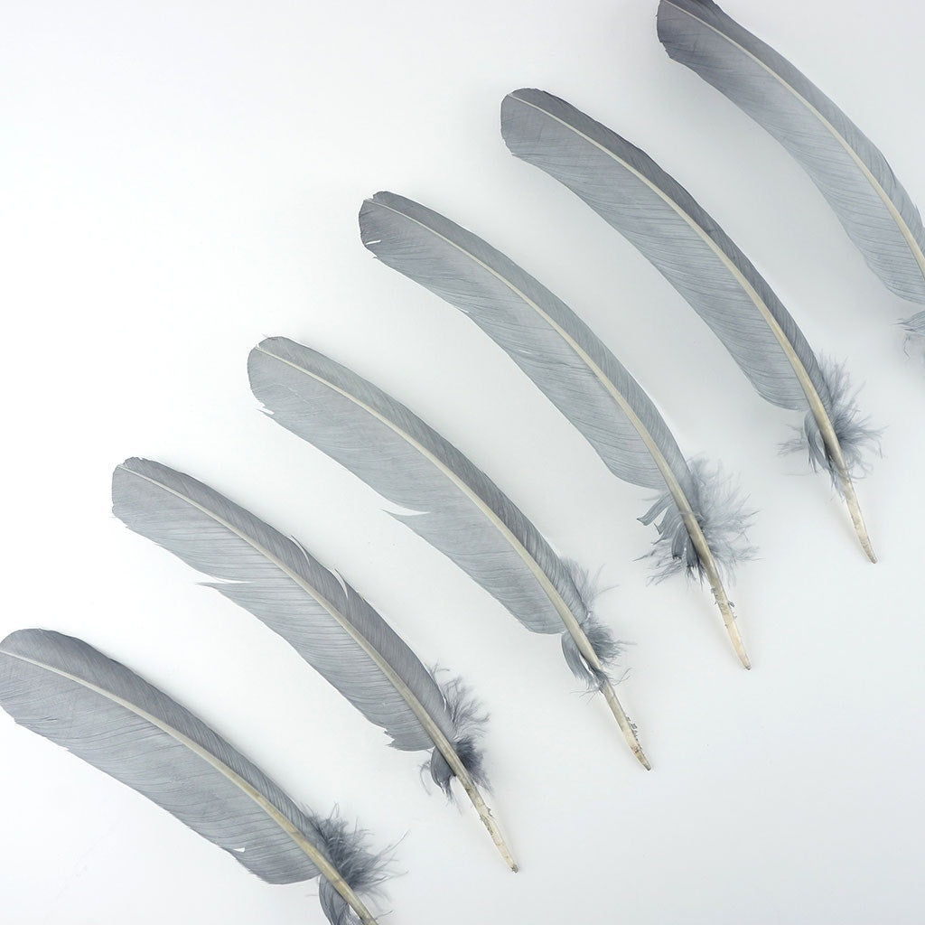 Turkey Quills Selected Silver