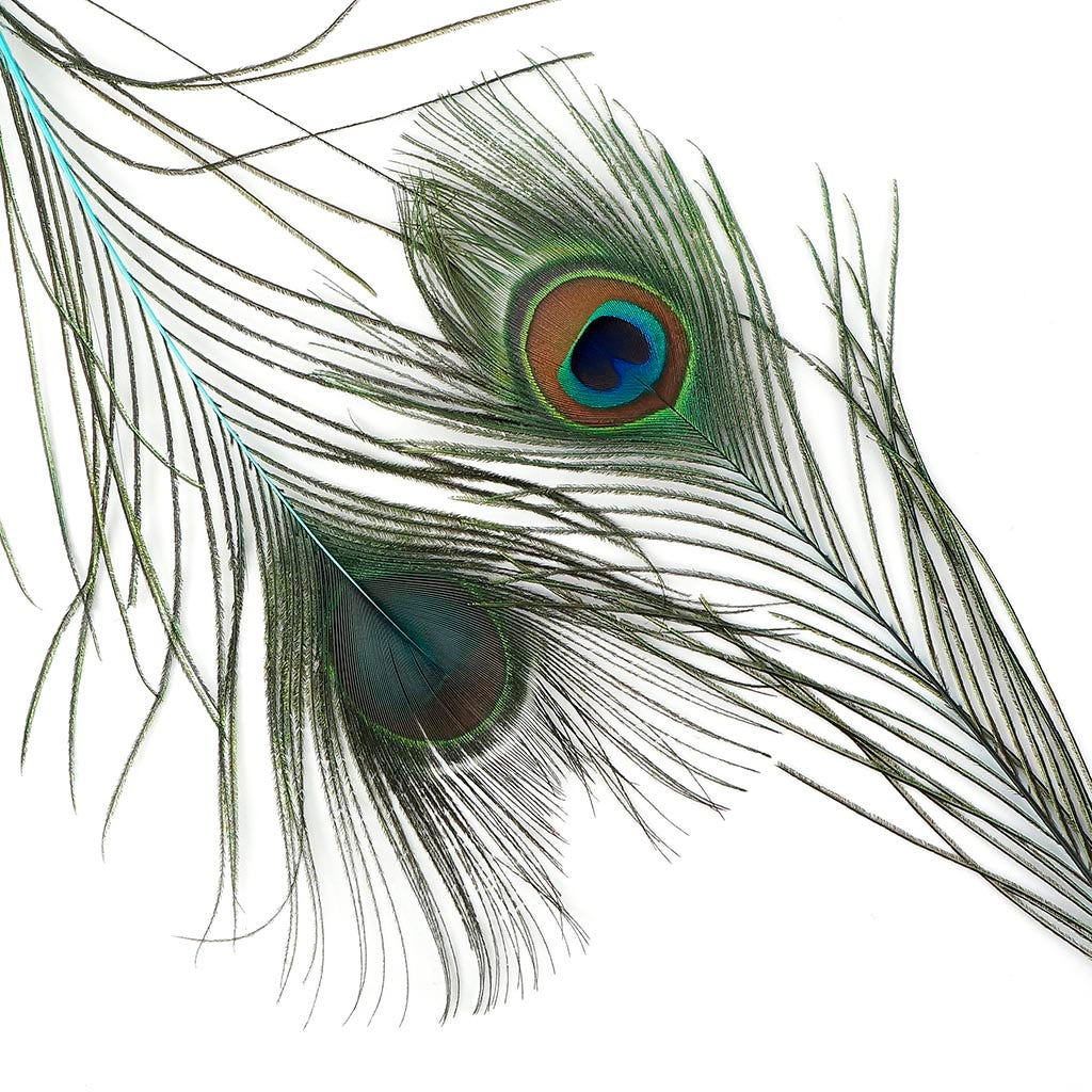 Peacock Tail Eyes Stem Dyed Light Turquoise