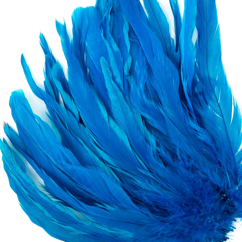 Rooster Coque Tails White-Dyed - Dark Turquoise