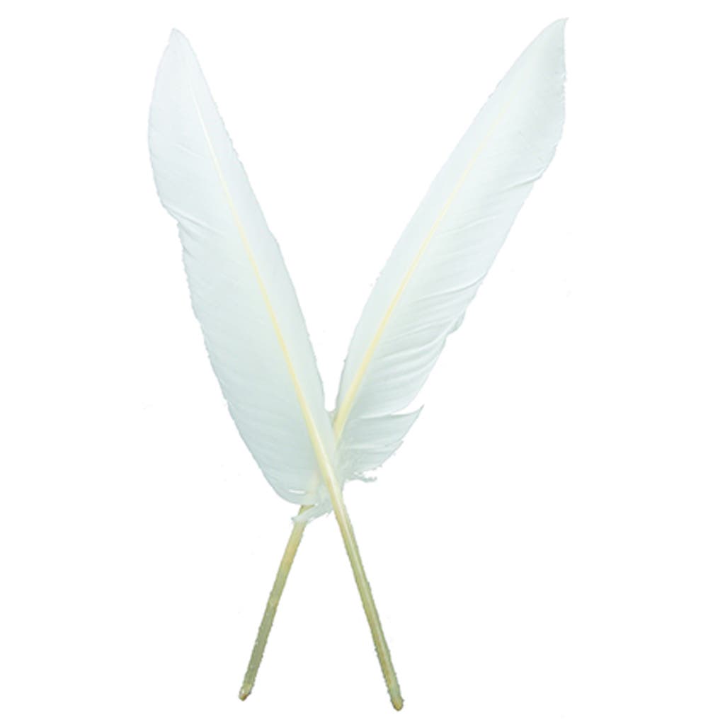 White Goose Pointers 100 pcs