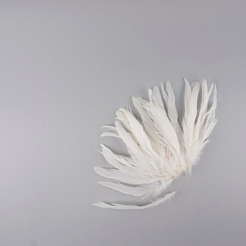 Rooster Coque Tails White-Dyed - White