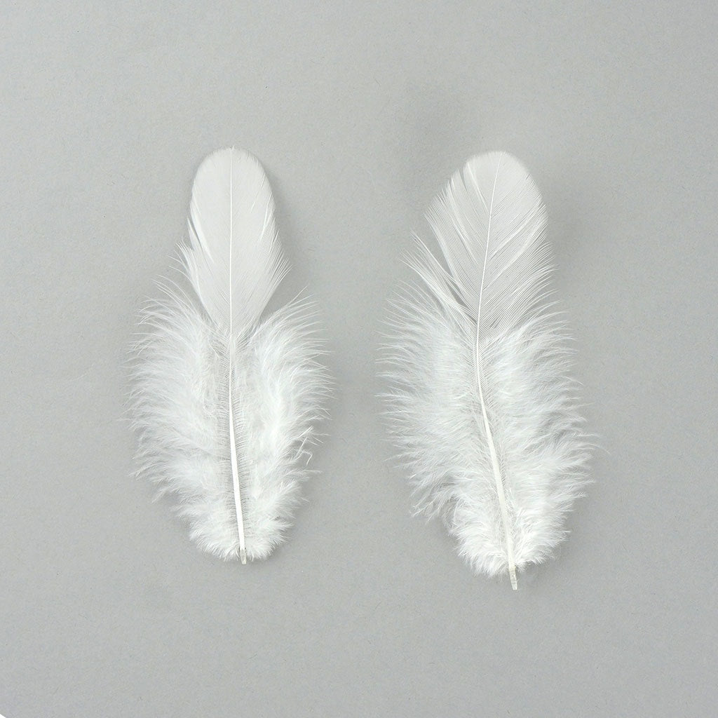 Rooster Plumage-White-Dyed - White