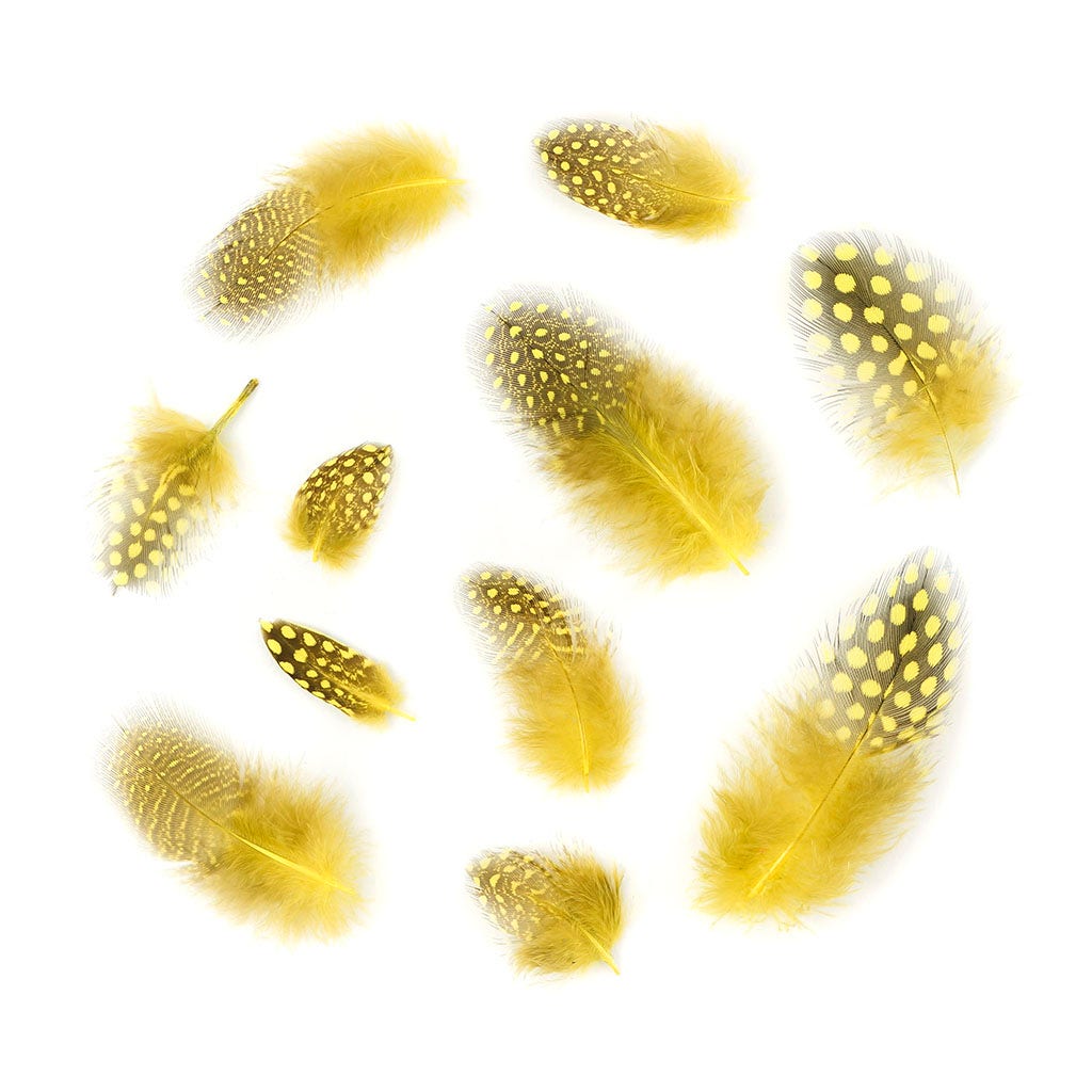 Loose Guinea Plumage Dyed - Fluorescent Yellow - 0.1 oz (approx. 50 pcs)