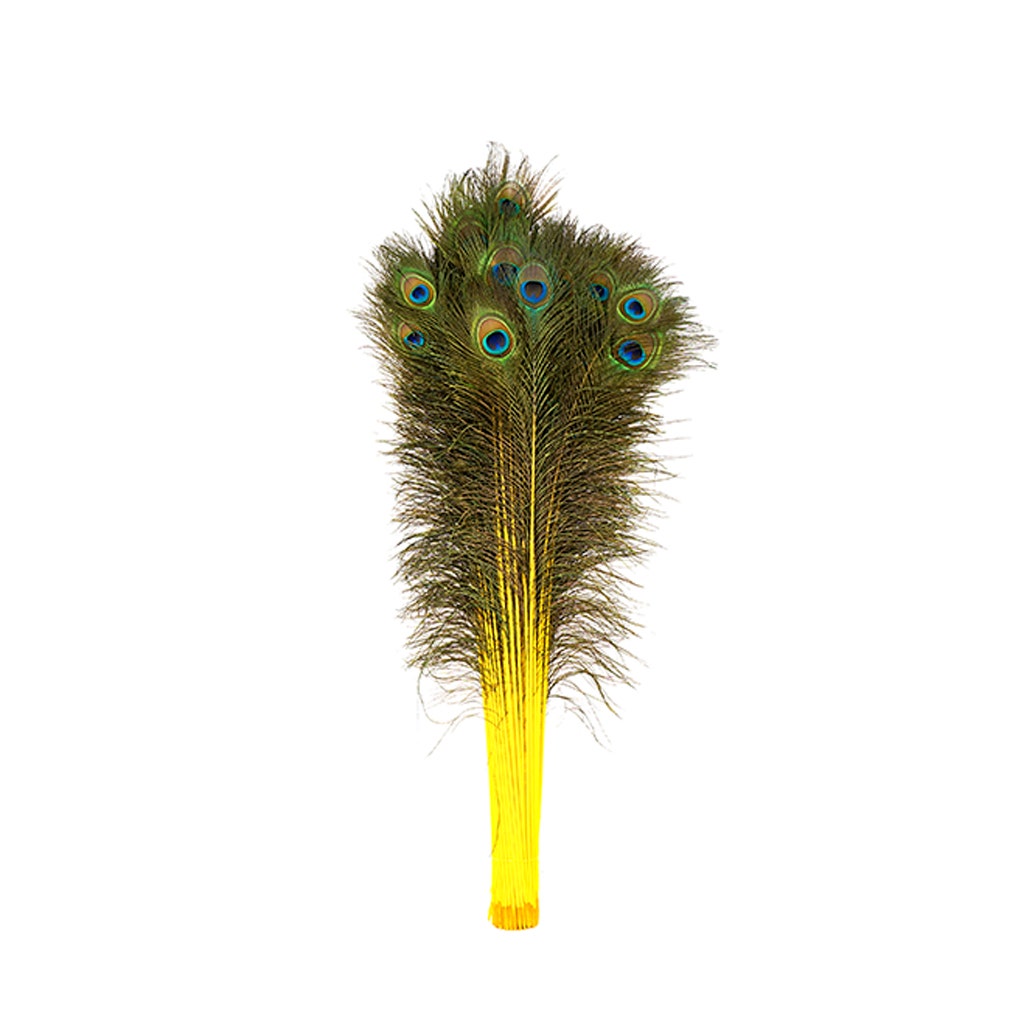 Peacock Tail Eyes Stem Dyed - 25-40 Inch - 100 PCS - Yellow