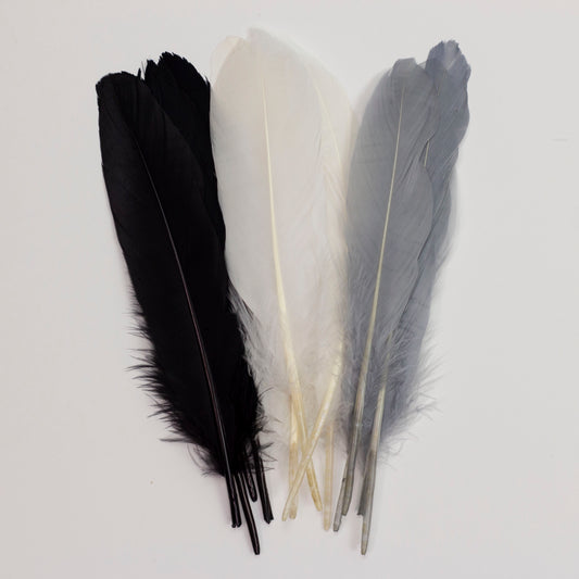 Goose Feathers 7-8" - 12 pcs - Black and White