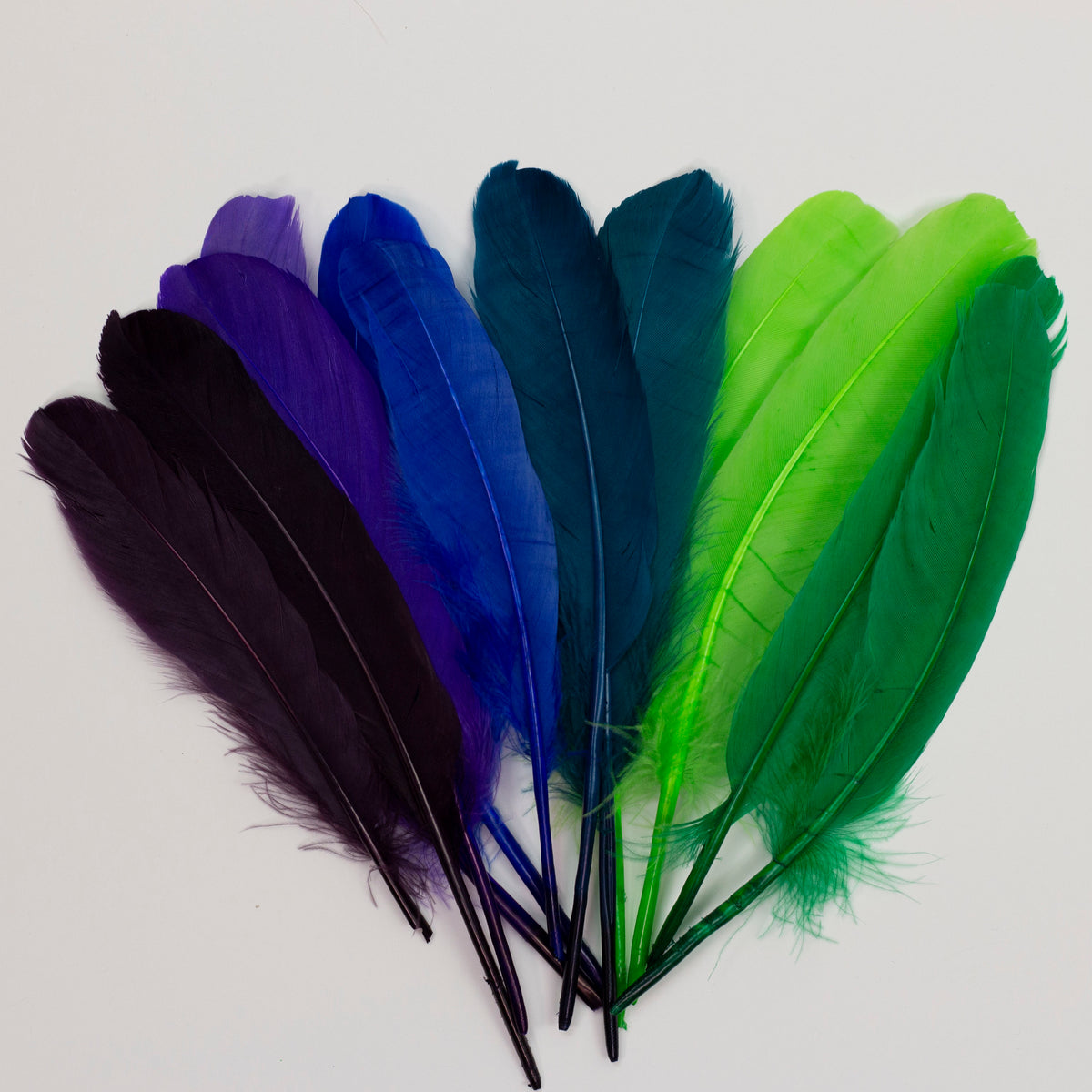 Goose Feathers 7-8" - 12 pcs - Cool Mix