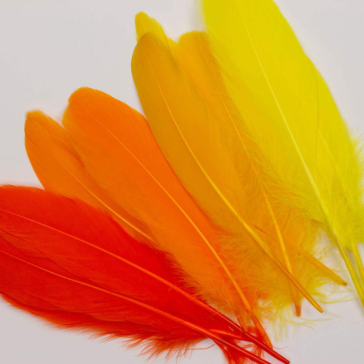 Goose Feathers 7-8" - 12 pcs - Fire Mix