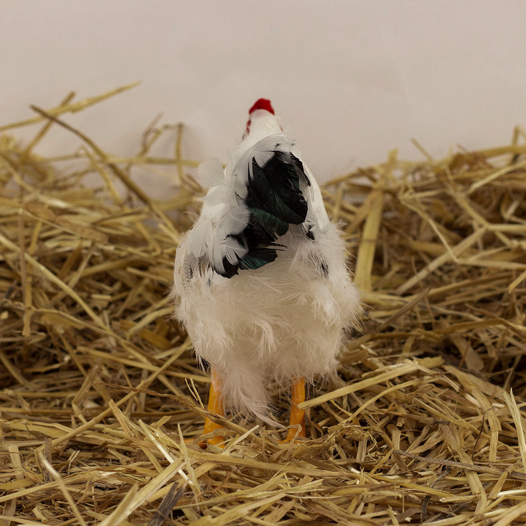 White and Black Hen Farmhouse Decor