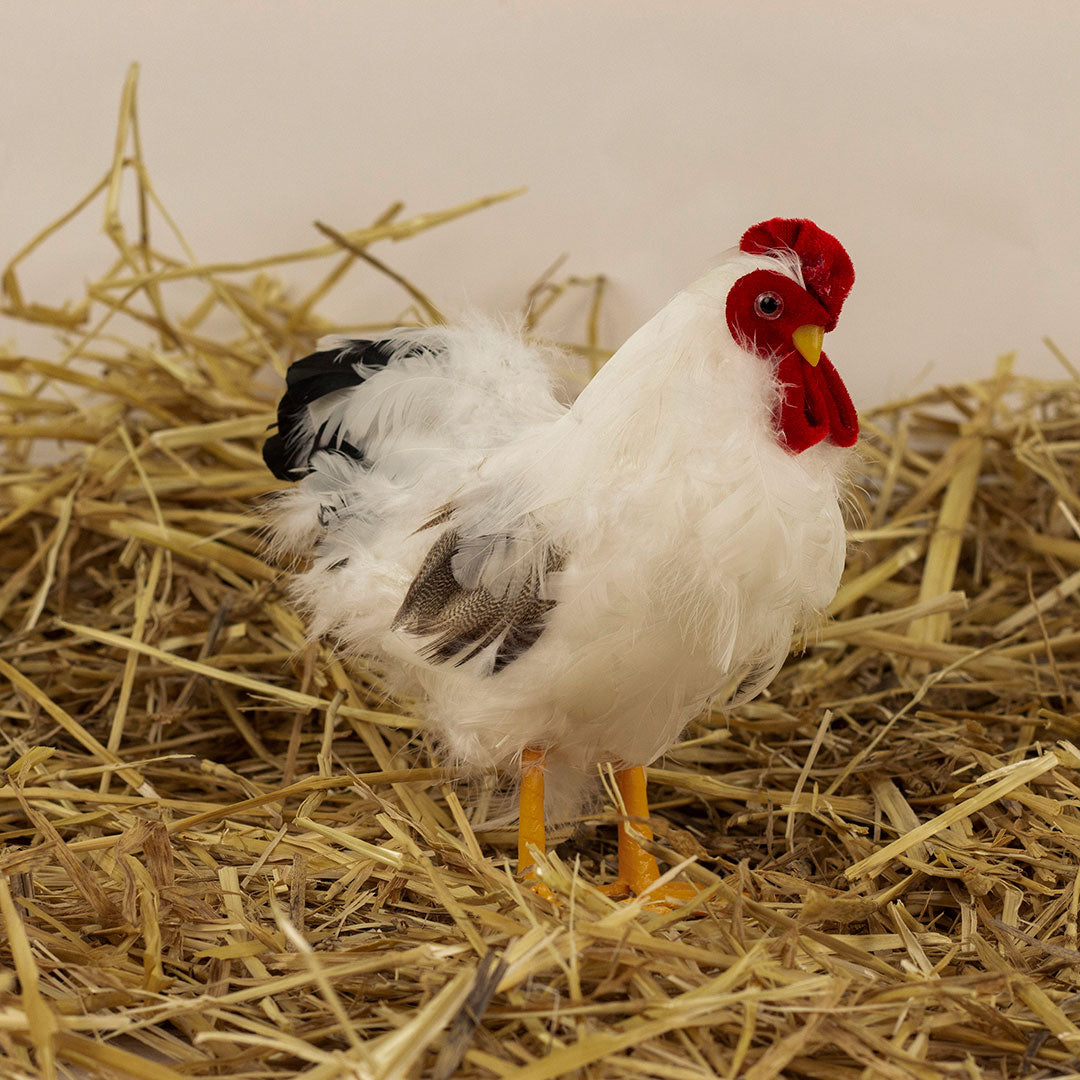 White and Black Hen Farmhouse Decor