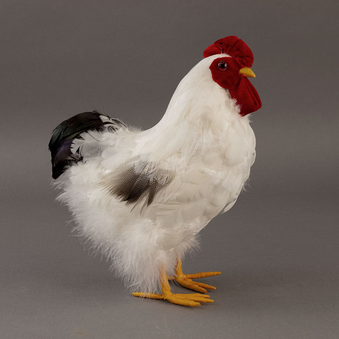 White and Black Hen Farmhouse Decor