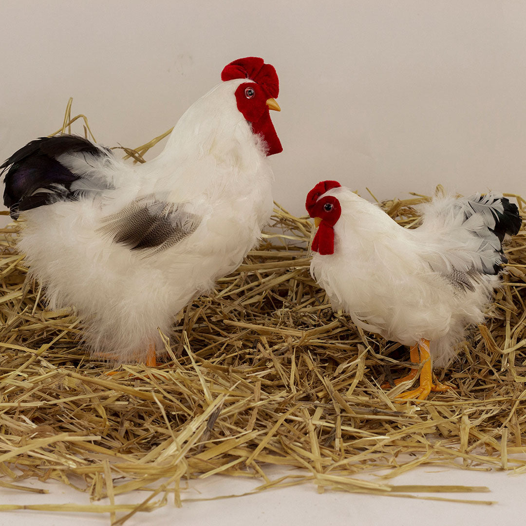 White and Black Hen Farmhouse Decor