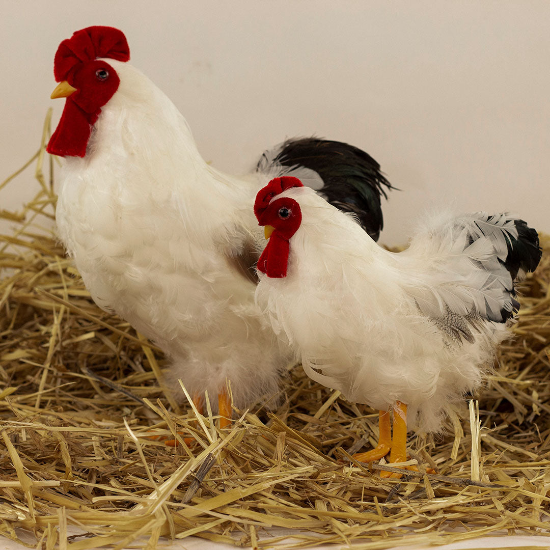White and Black Hen Farmhouse Decor