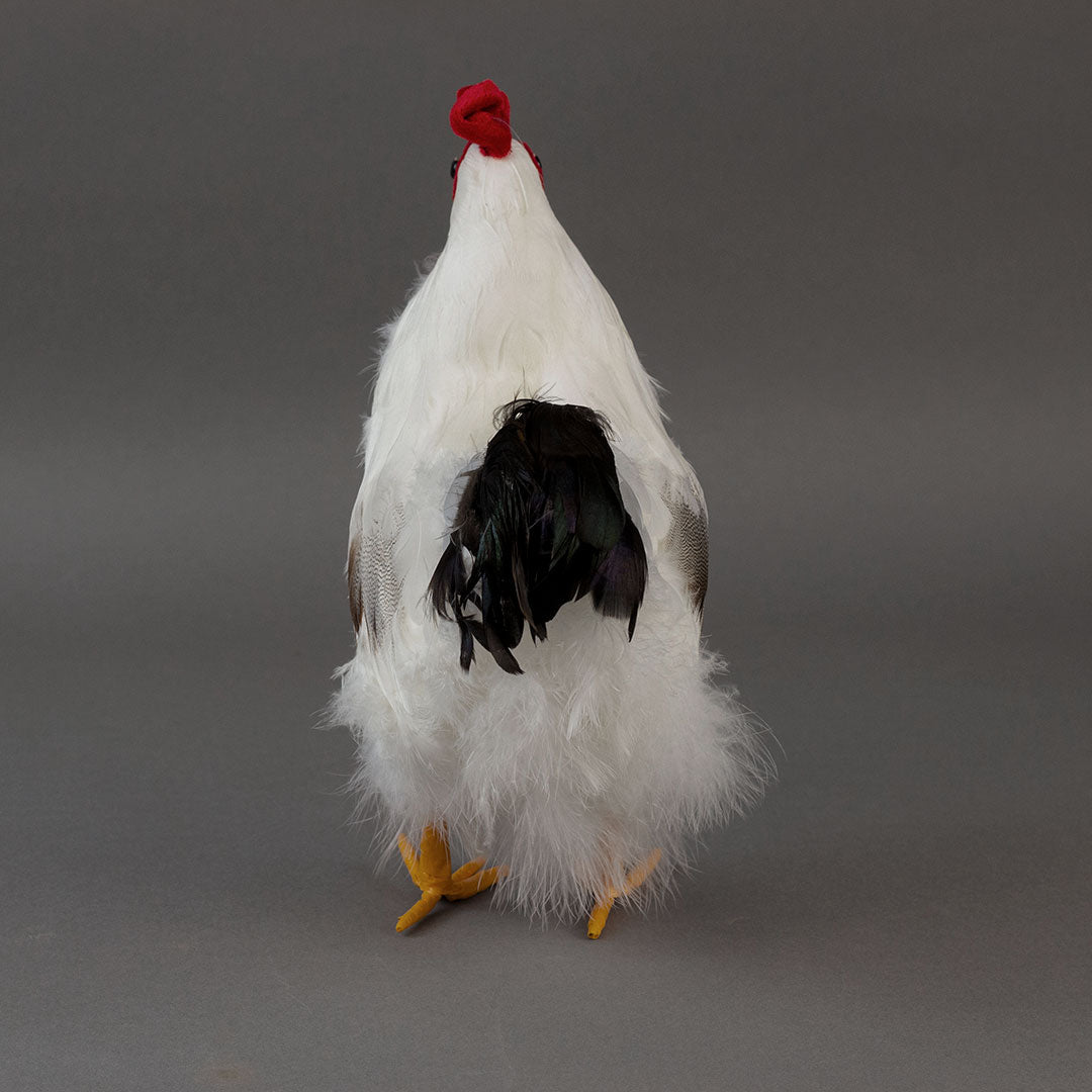 White and Black Hen Farmhouse Decor