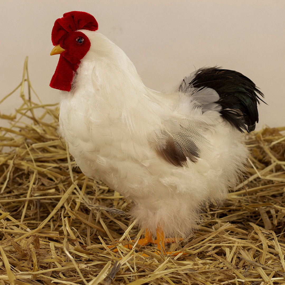 White and Black Hen Farmhouse Decor
