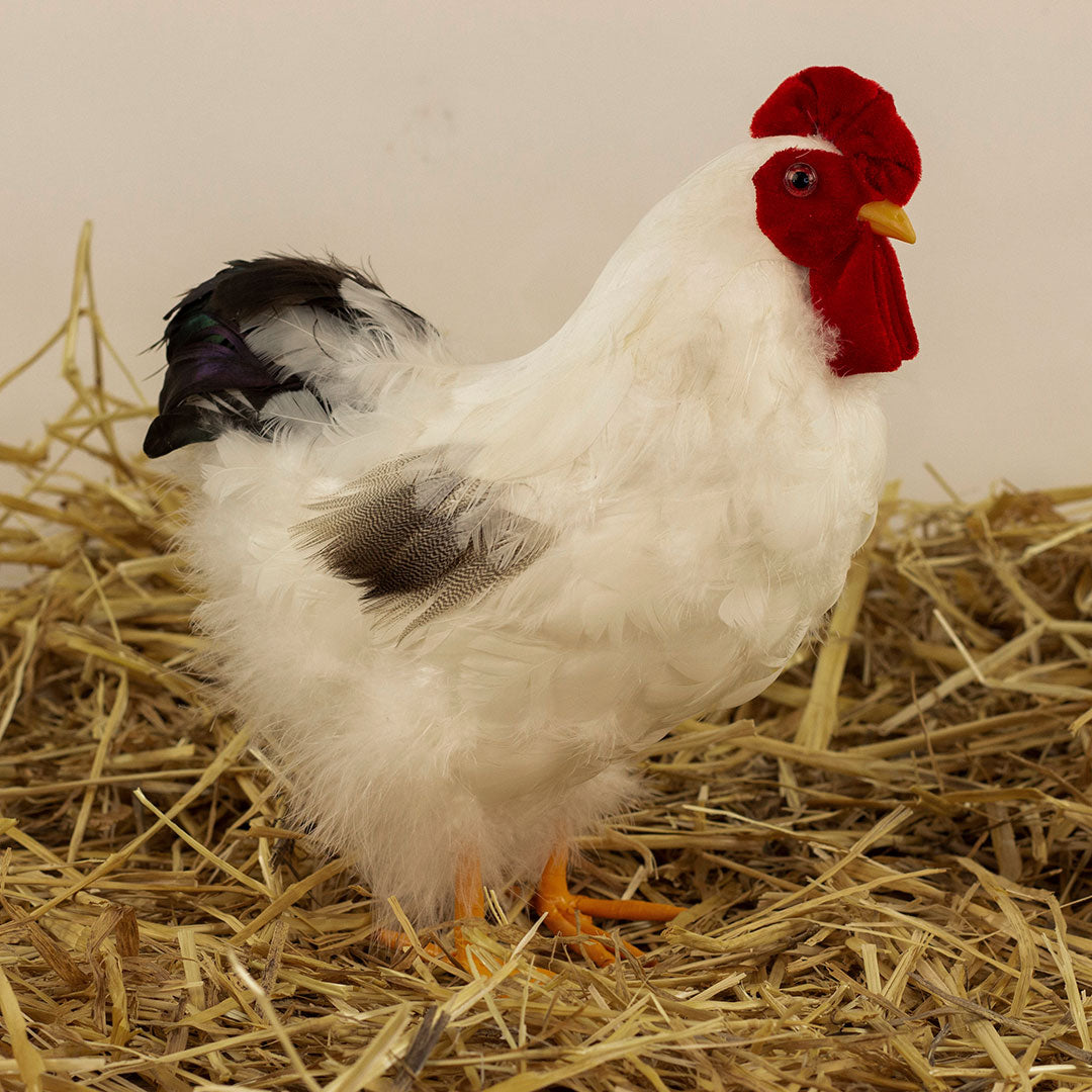White and Black Hen Farmhouse Decor