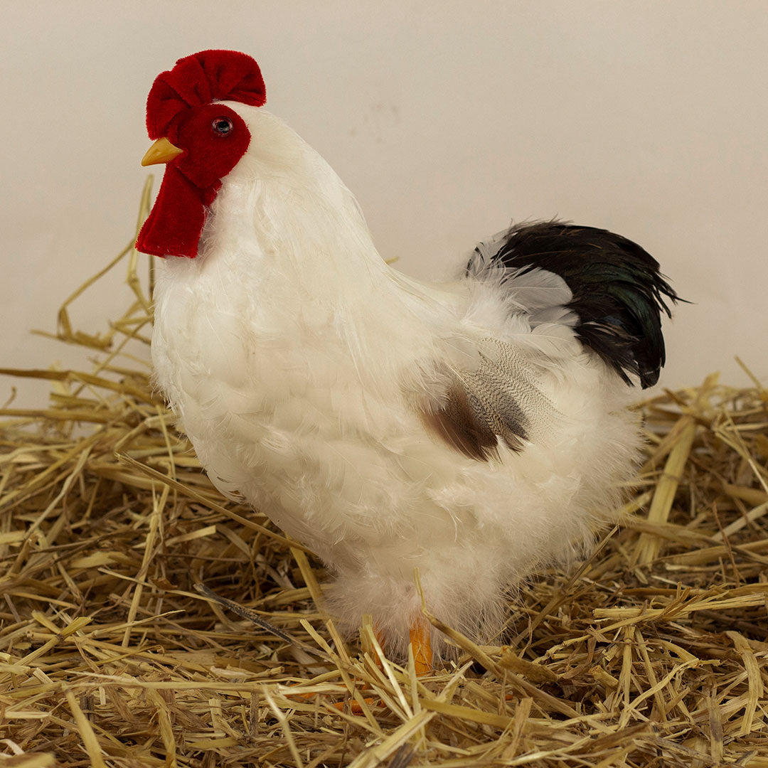 White and Black Hen Farmhouse Decor