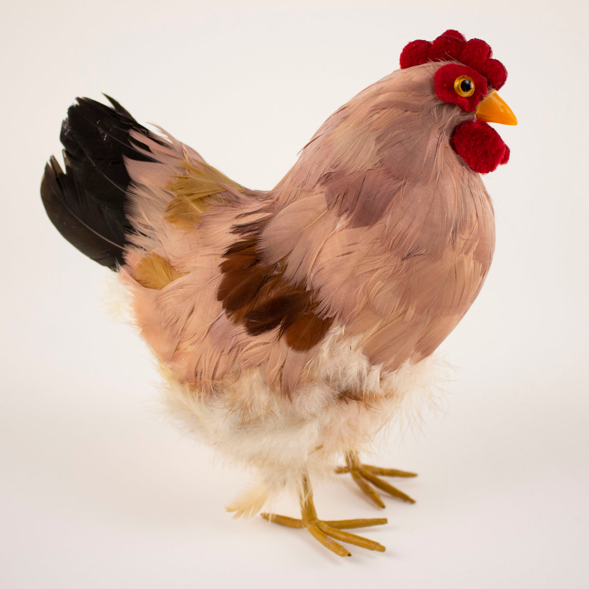 Natural Feather Hen 8.5" x 12"