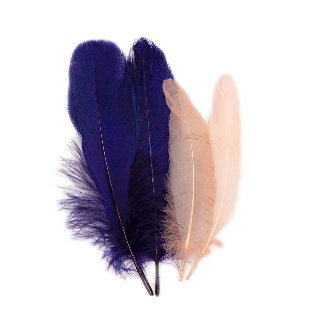 Ostrich and Goose Feather Kit - Rose