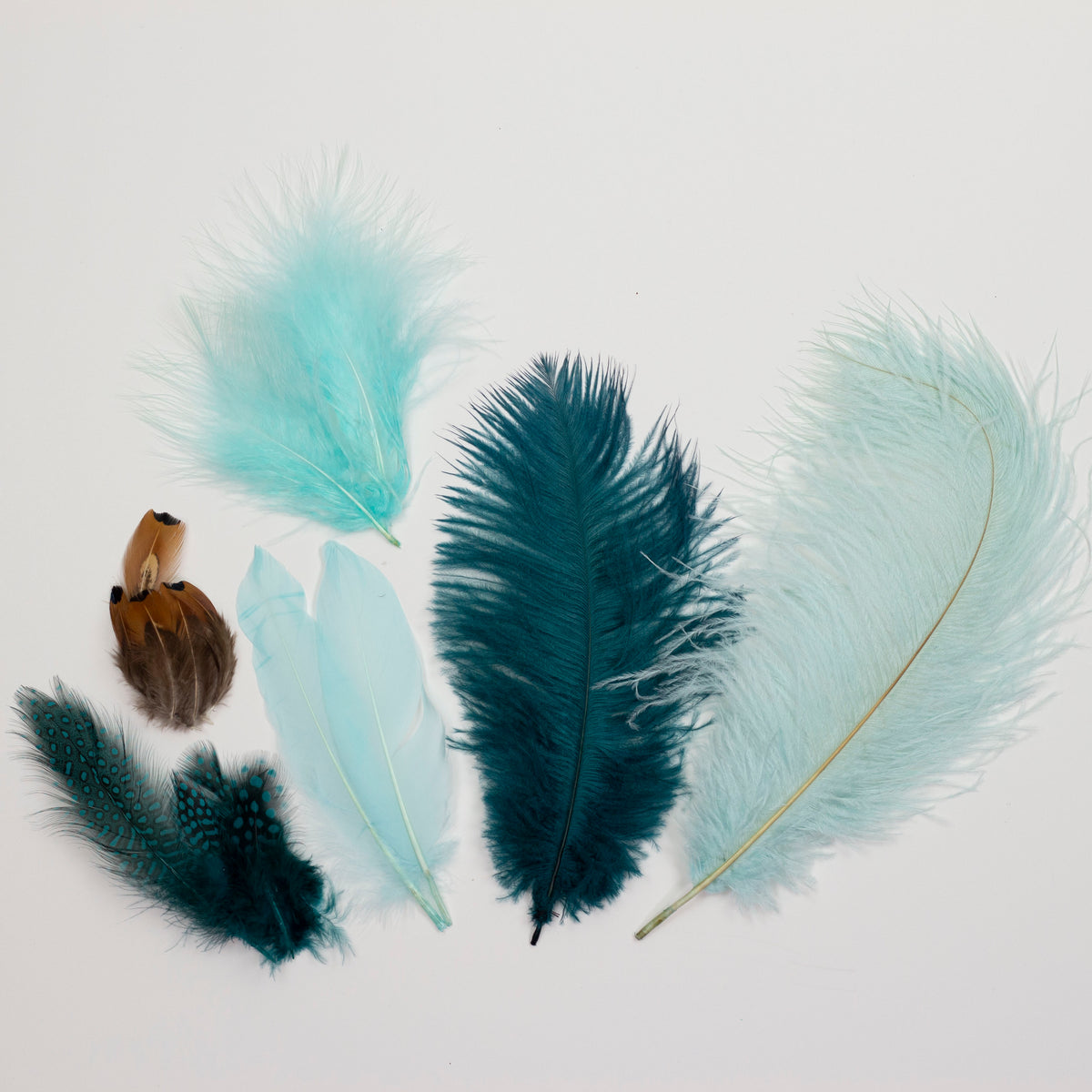 Ostrich/Goose Feather Kit Assorted 2-9 inch --Teal