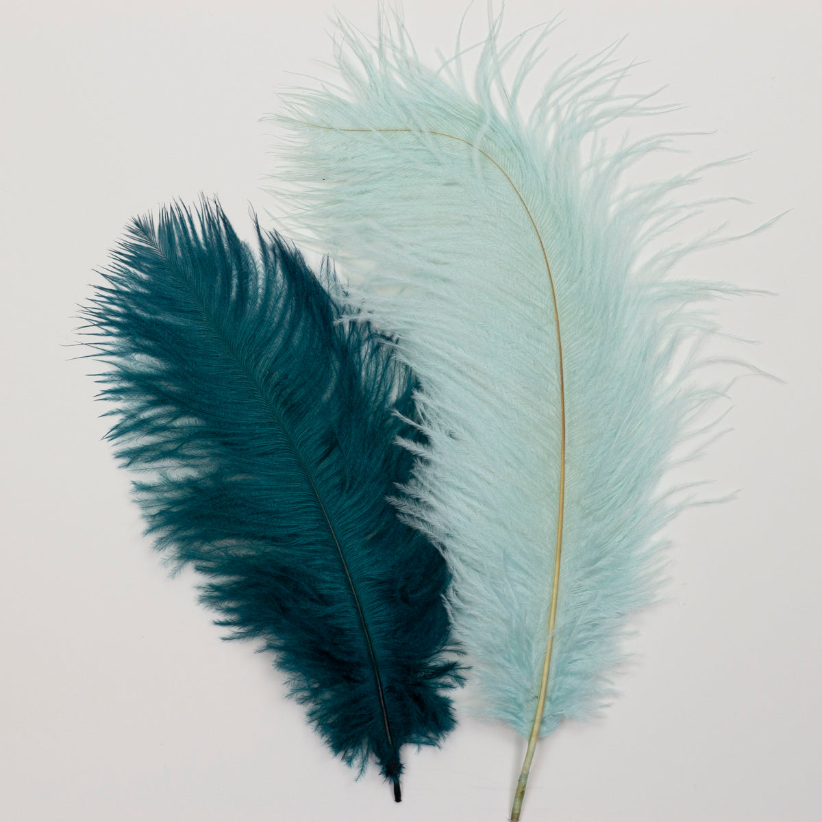 Ostrich/Goose Feather Kit Assorted 2-9 inch --Teal