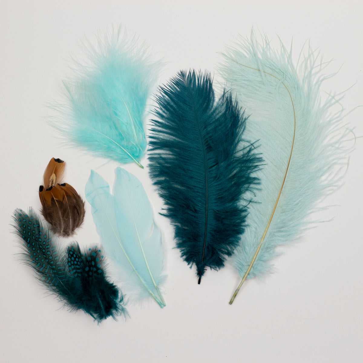 Ostrich/Goose Feather Kit Assorted 2-9 inch --Teal