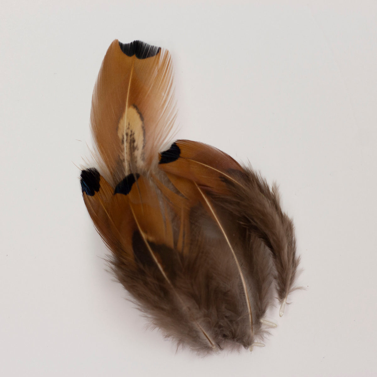 Ostrich/Goose Feather Kit Assorted 2-9 inch --Teal