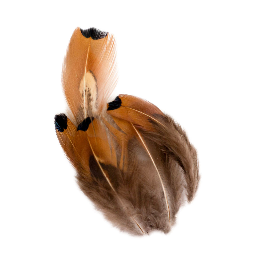 Ostrich/Goose Feather Kit Assorted 2-9 inch --Teal