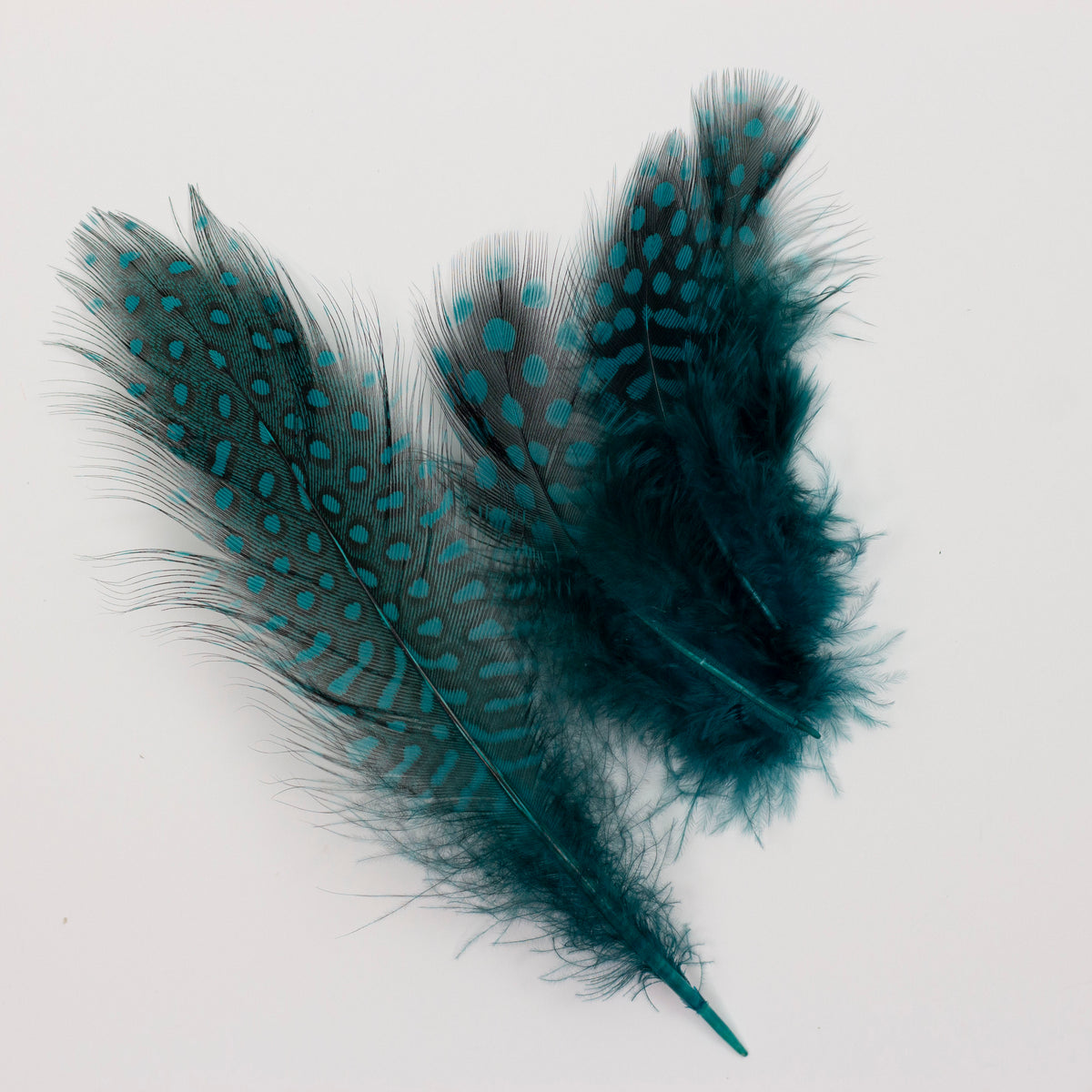 Ostrich/Goose Feather Kit Assorted 2-9 inch --Teal