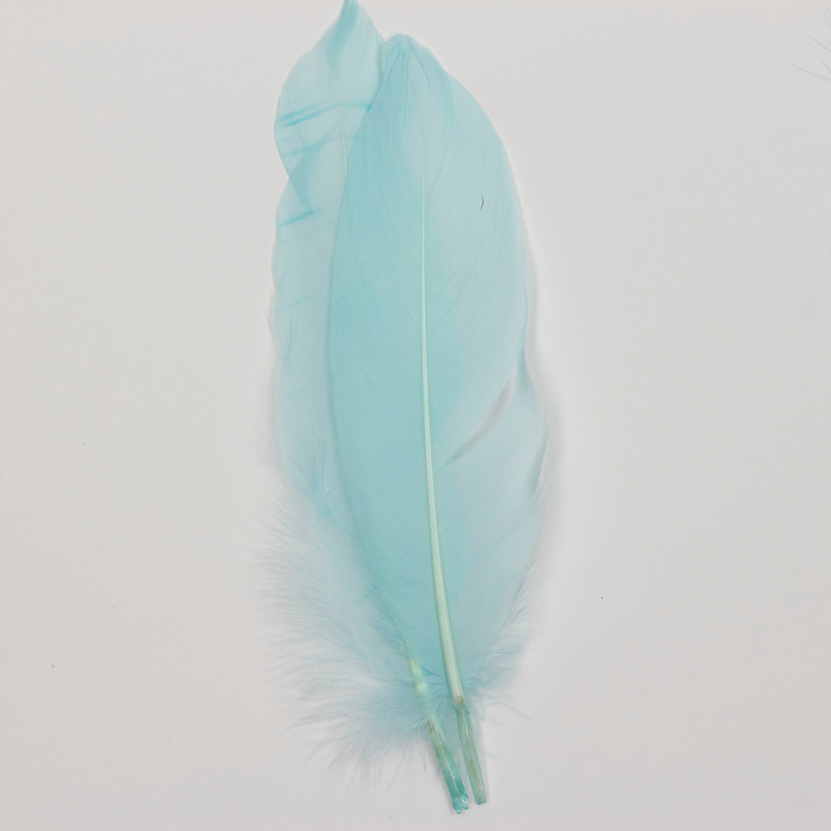 Ostrich/Goose Feather Kit Assorted 2-9 inch --Teal
