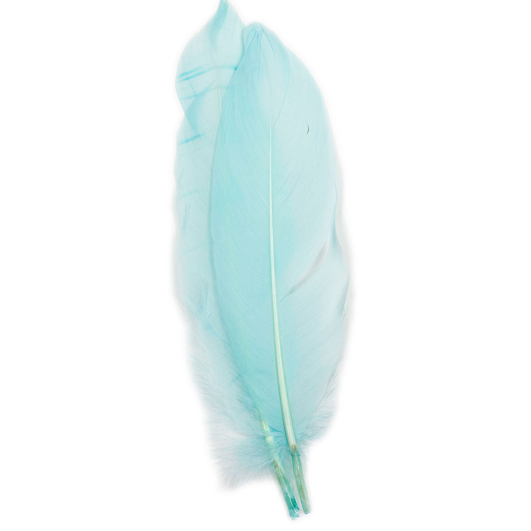 Ostrich/Goose Feather Kit Assorted 2-9 inch --Teal