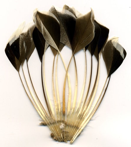 Duck Stripped Center Fan Trim - Bronze/Natural
