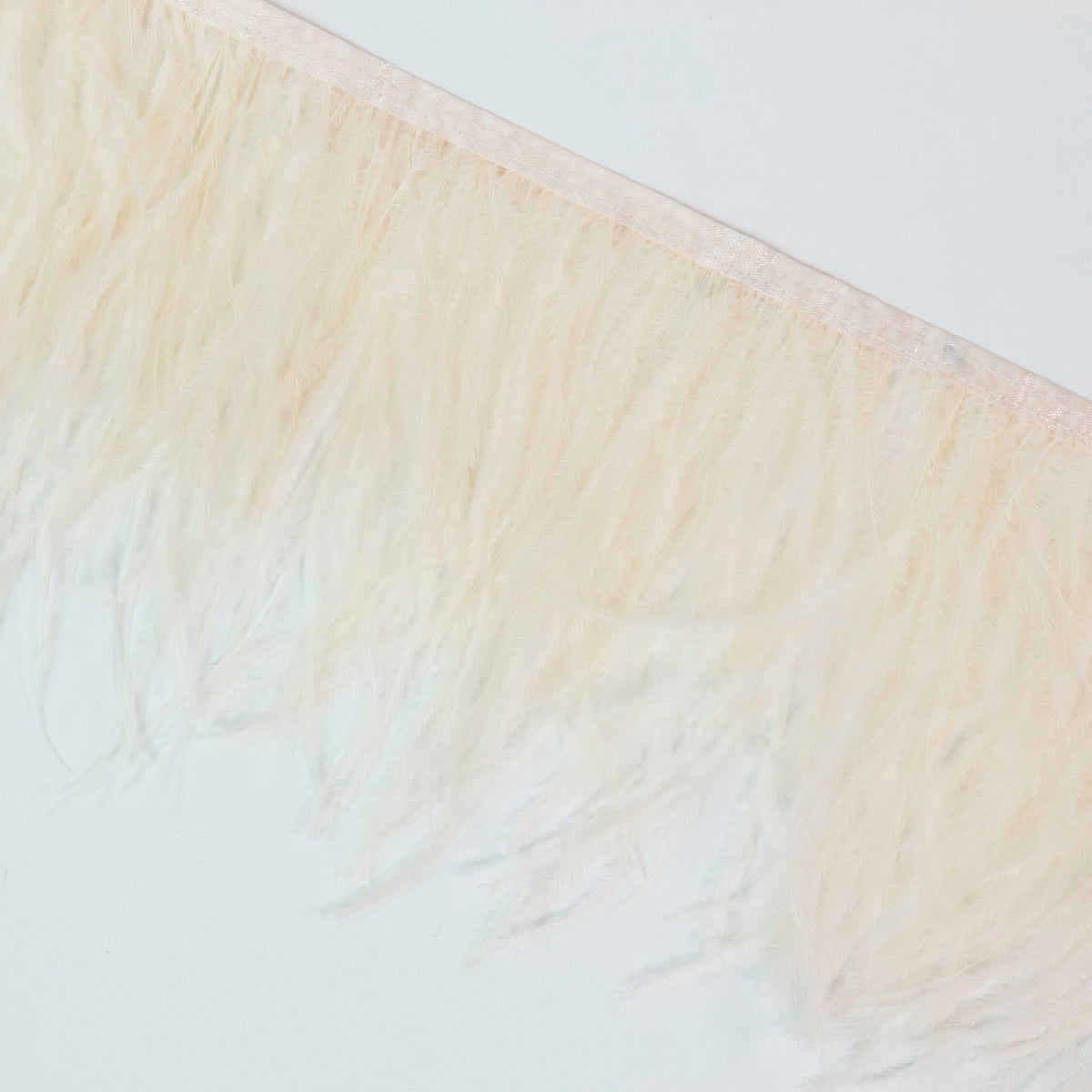 Ostrich Feather Fringe 2PLY - Ivory
