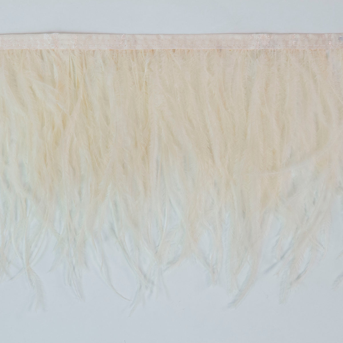 Ostrich Feather Fringe 2PLY - Ivory