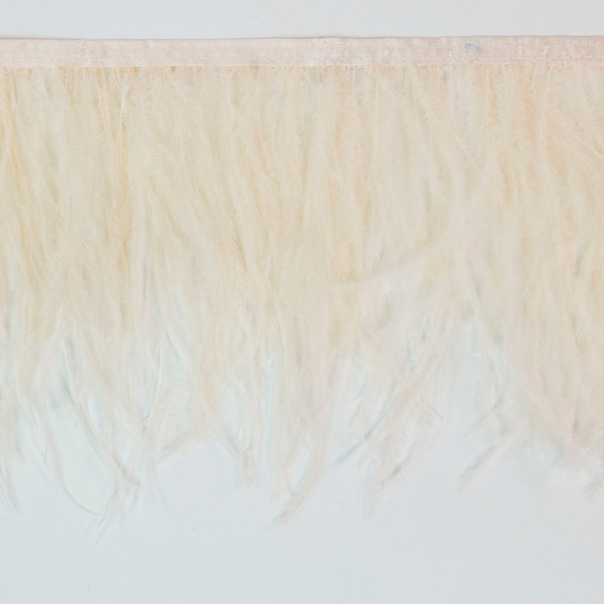 Ostrich Feather Fringe 2PLY - Ivory