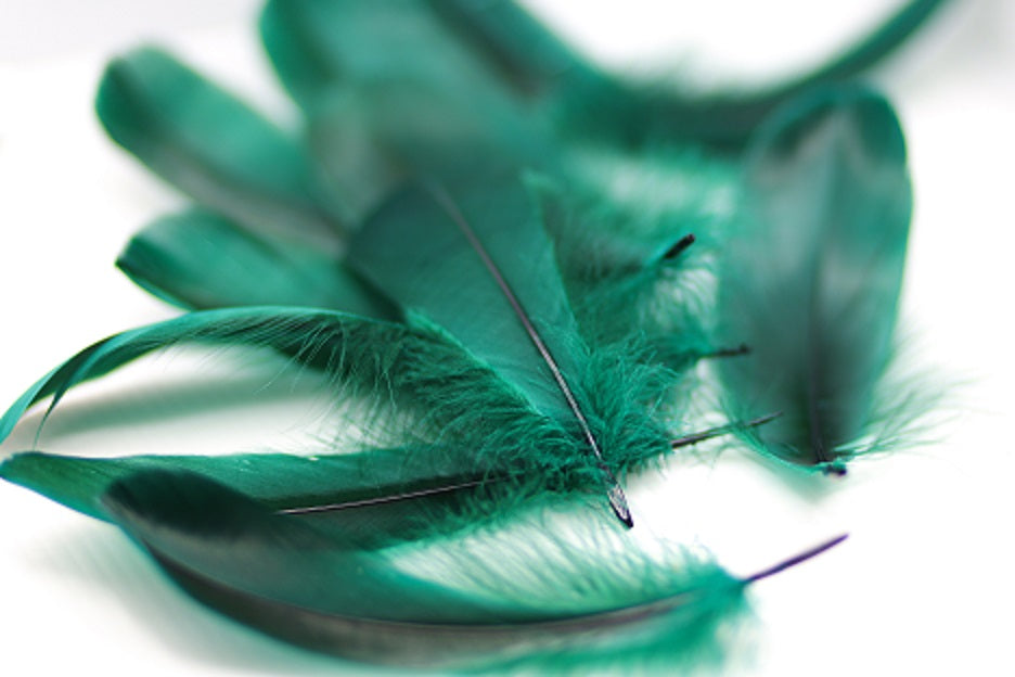 Goose Pallet Feathers 6-8" - 12 pc - Hunter Green