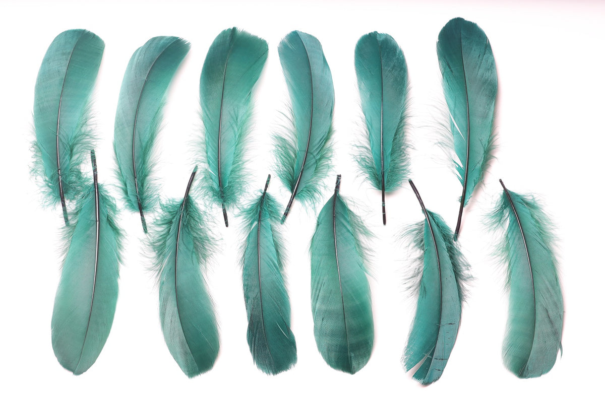 Goose Pallet Feathers 6-8" - 12 pc - Hunter Green