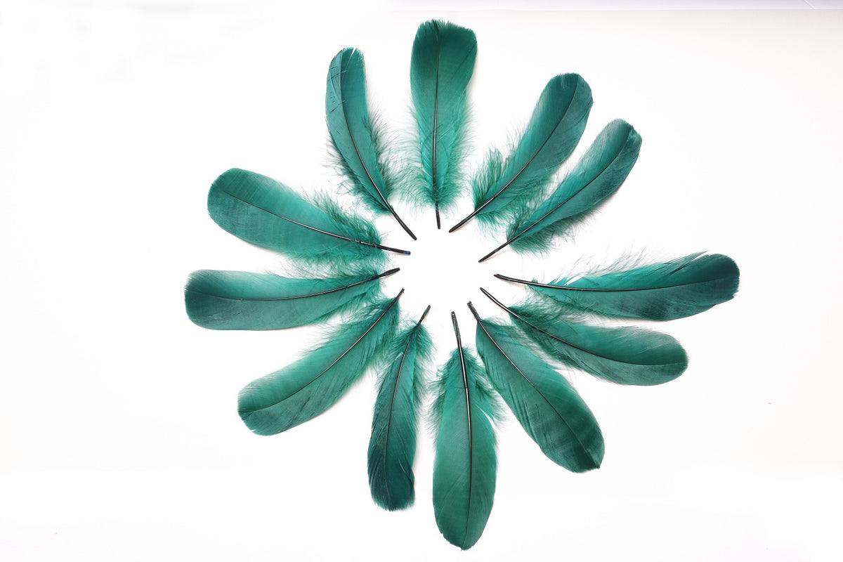 Goose Pallet Feathers 6-8" - 12 pc - Hunter Green