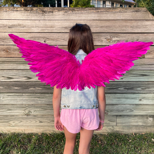 Hot Pink Fairy Wings