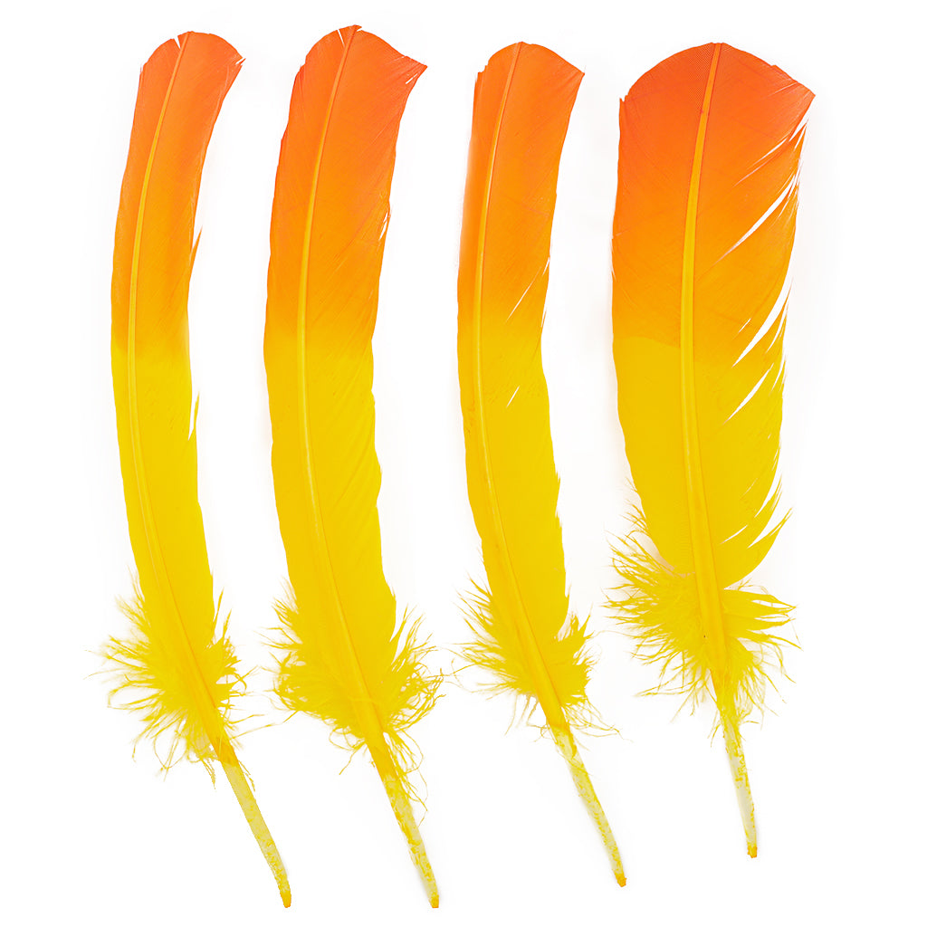 Ombre Turkey Quill 10-12" Right Wing Tip Silver .25 lb - Pink Orient-Orange