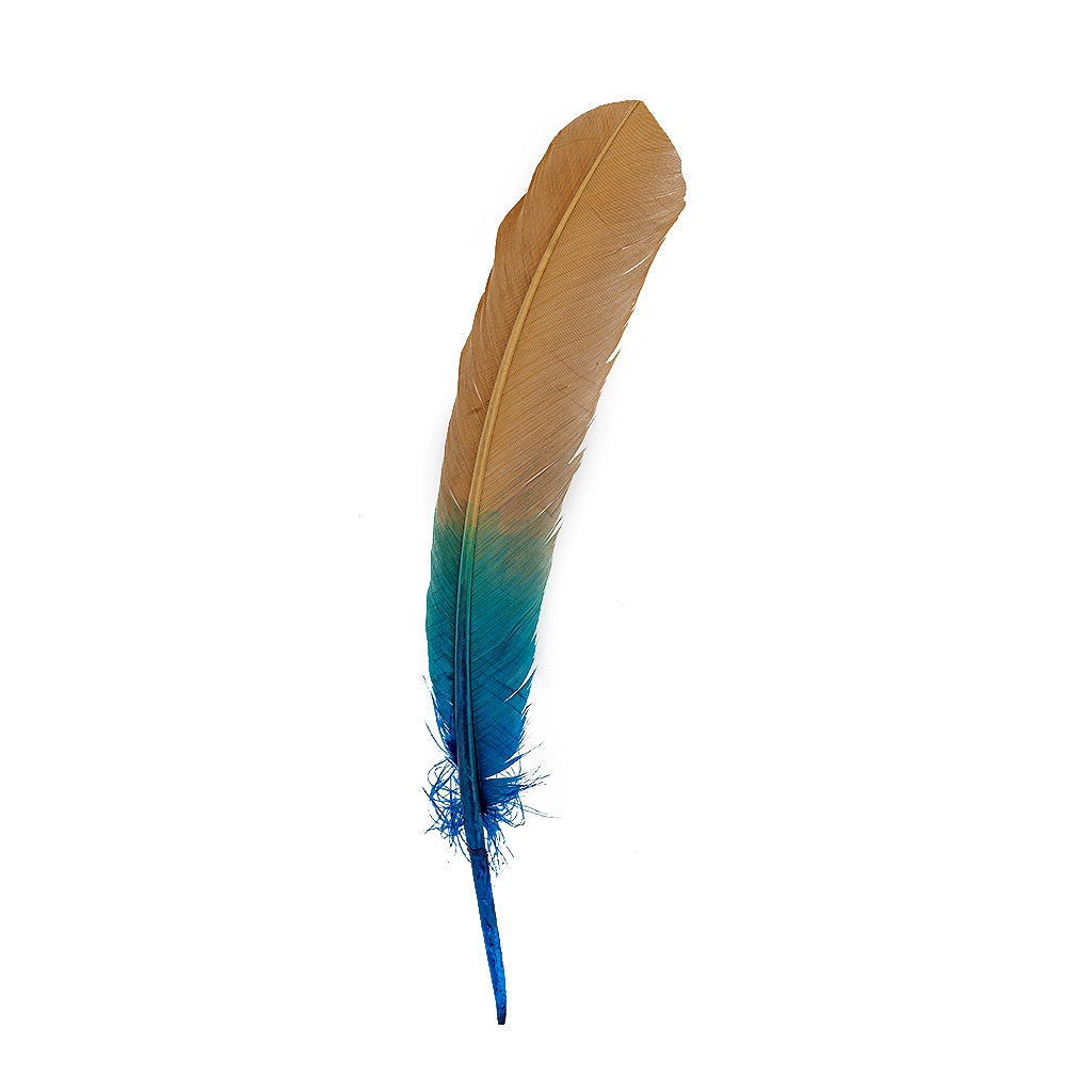 Ombre Turkey Quill Feathers 10-12" Dip .25 lb - Dark Turquoise/ Camel