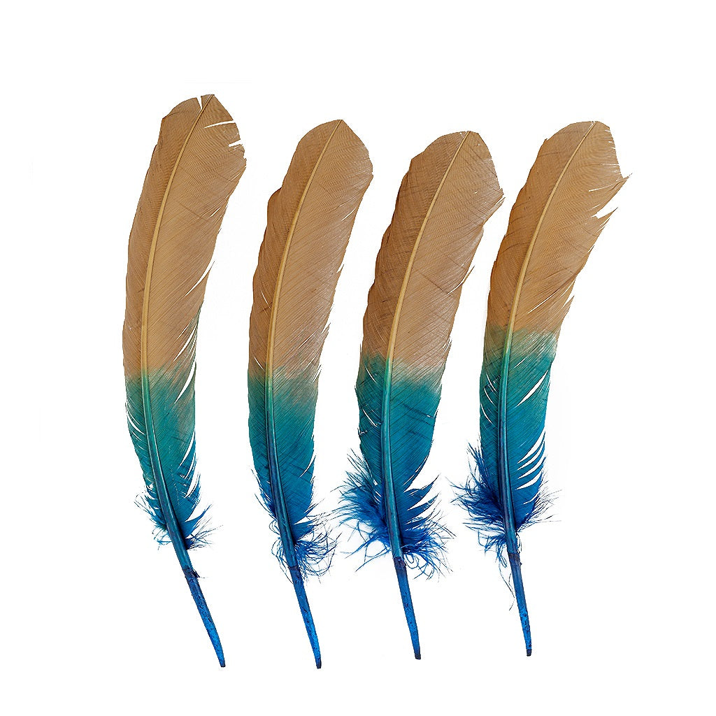 Ombre Turkey Quill Feathers 10-12" Dip .25 lb - Dark Turquoise/ Camel