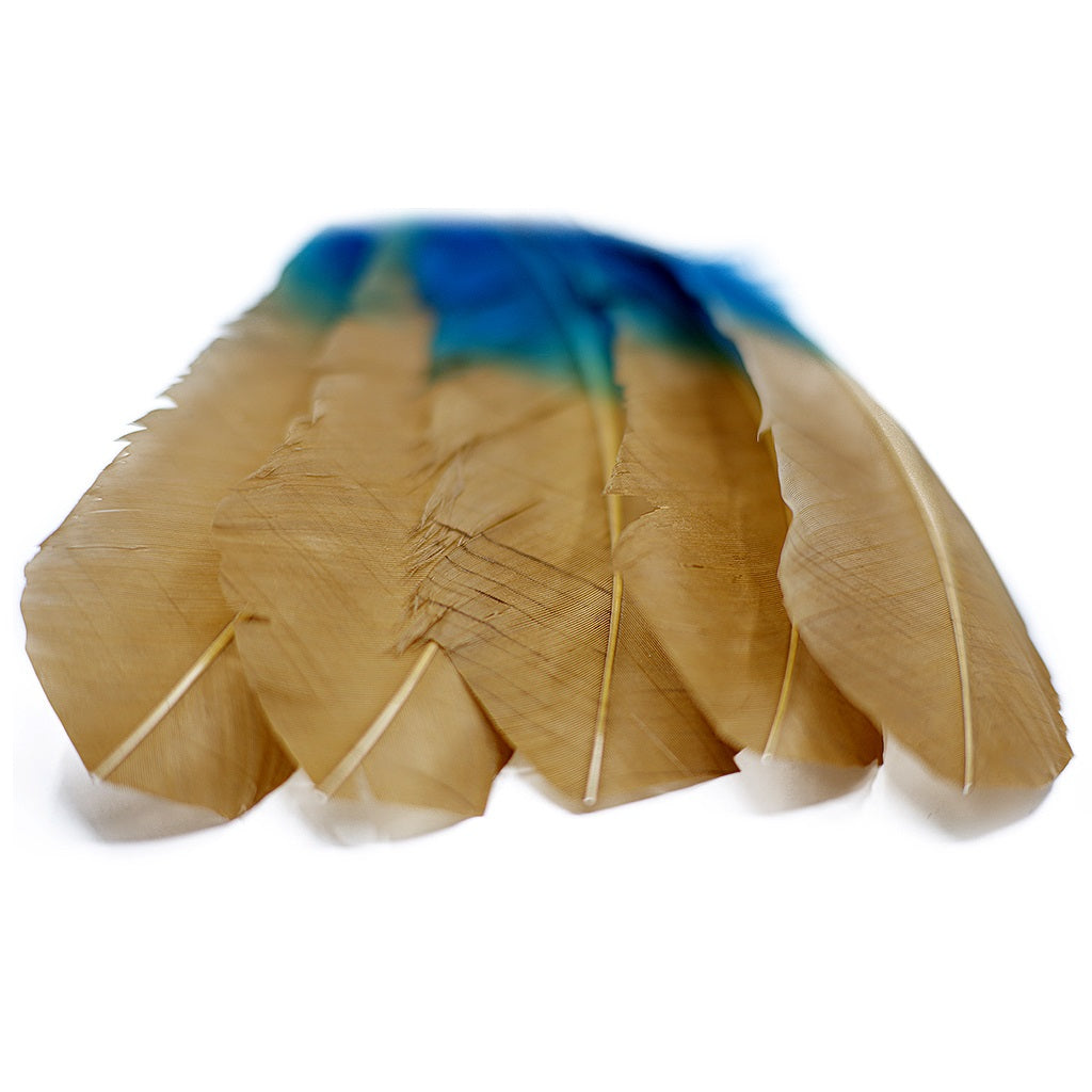 Ombre Turkey Quill Feathers 10-12" Dip .25 lb - Dark Turquoise/ Camel
