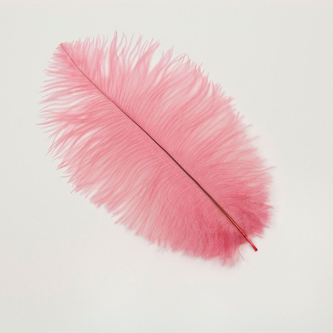 Ostrich Feathers 9-12" Drabs - Met Gala Potpourri