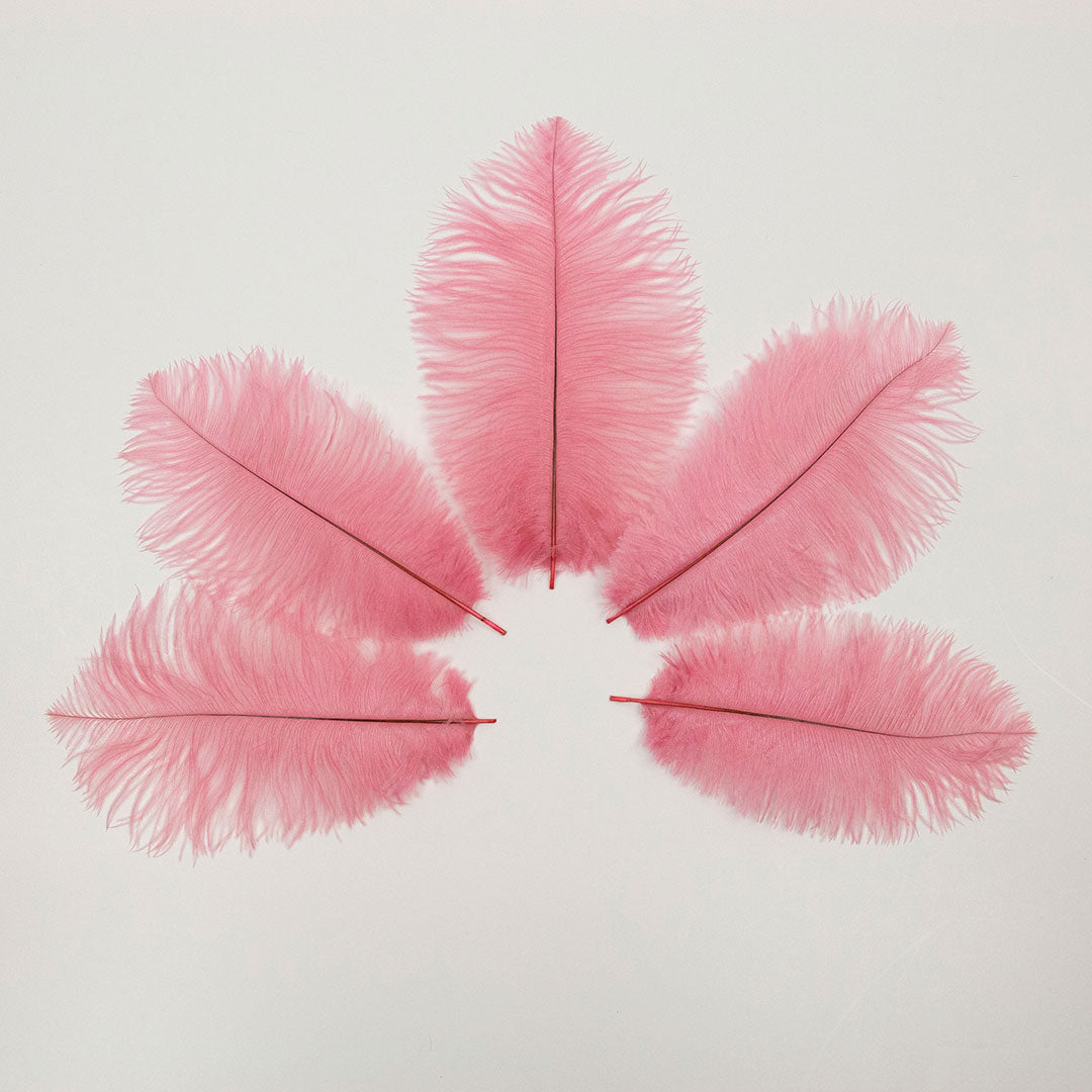 Ostrich Feathers 9-12" Drabs - Met Gala Potpourri